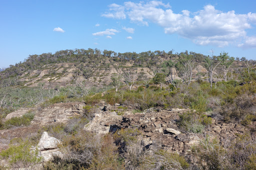 Pagoda Lookout walking track - Thumbnail