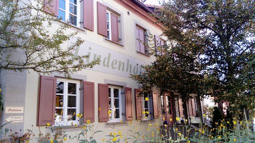 Gebr. Bauer - Thumbnail