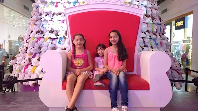 Photos of Cinsa