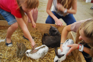Photo n°22 de La Ferme de Woimbey à Woimbey (Parc de loisirs)