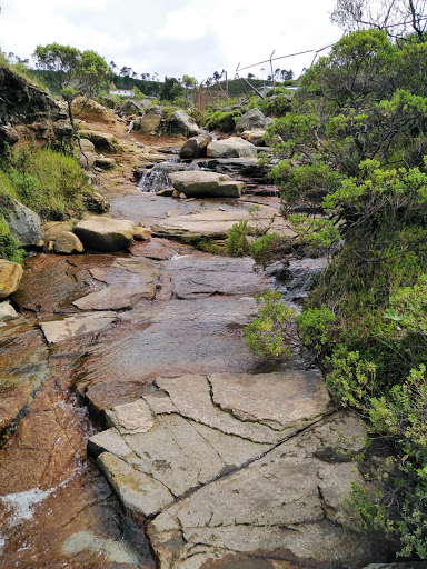 Reserva Nacional - Thumbnail