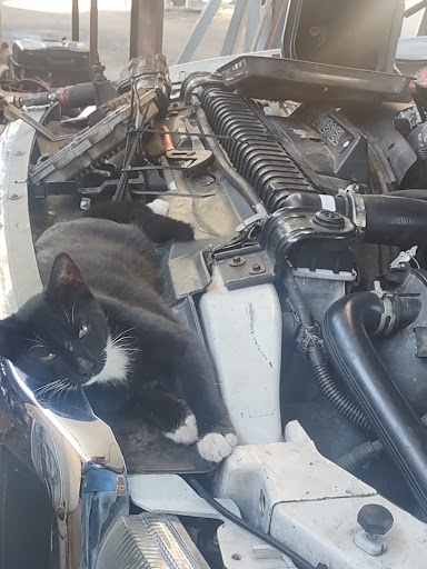 A1 Auto Repair - Thumbnail