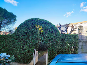 Photo n°6 de Ambiances Piscines & Paysages - Xavier Peyrot à Dieulefit (Service d'élagage)