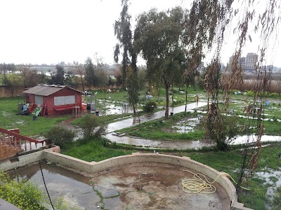 Photos of Al Hadba University College