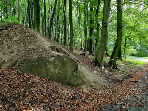 Ehem. Bunkerlager Herbstwald - Thumbnail