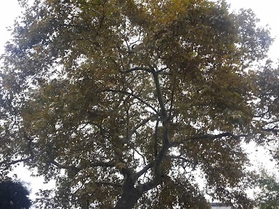 Photos of Mimar Sinan Anatolian High School