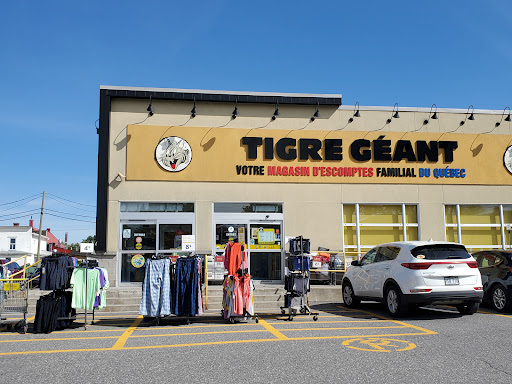 Tigre Géant - Visual