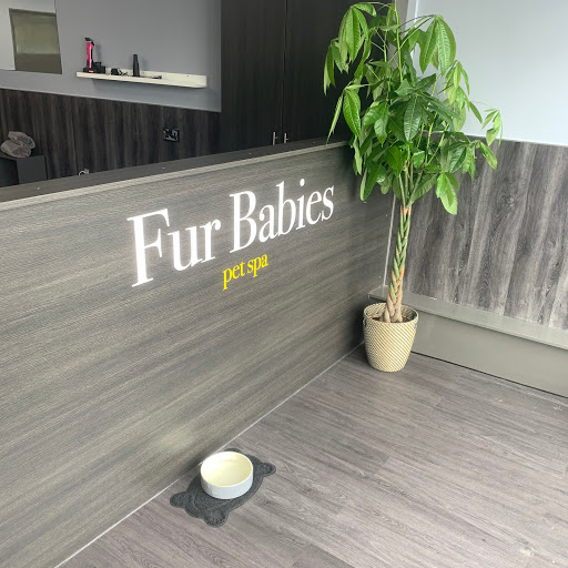 Fur Babies Pet Spa