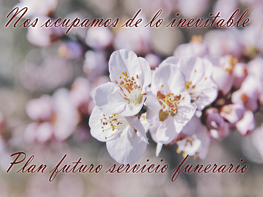 Renacimiento Campo Funeral