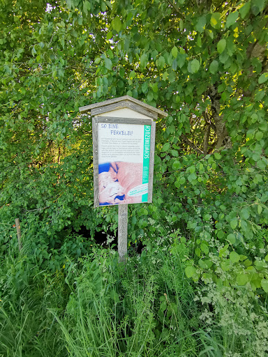 Rundwanderweg Grüner Pfad - Thumbnail