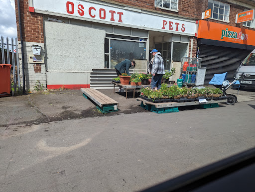 Oscott Pets - Visual