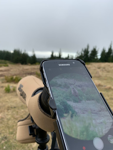 PhoneSkopeNZ - Thumbnail