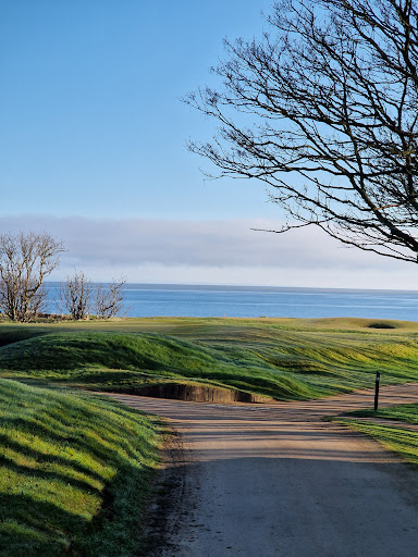 Cambo Estate - Thumbnail