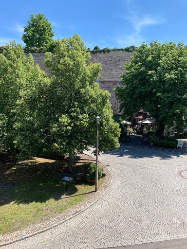 Schwanenweiher - Thumbnail