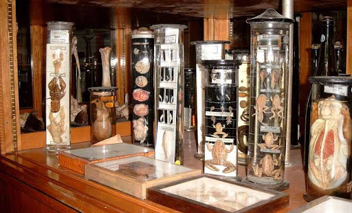 Museum für Gesellschafts- und Umweltgeschichte Wuppertal