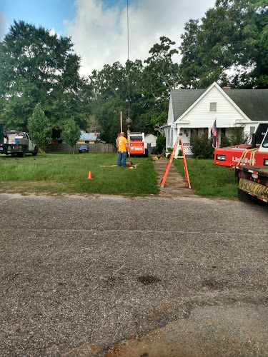 Southern tree care
