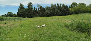 Photo n°2 de Marie-Hélène Truc - Consultant immobilier IADFrance / Location de vacances MONTEUX à Monteux (Agent immobilier)