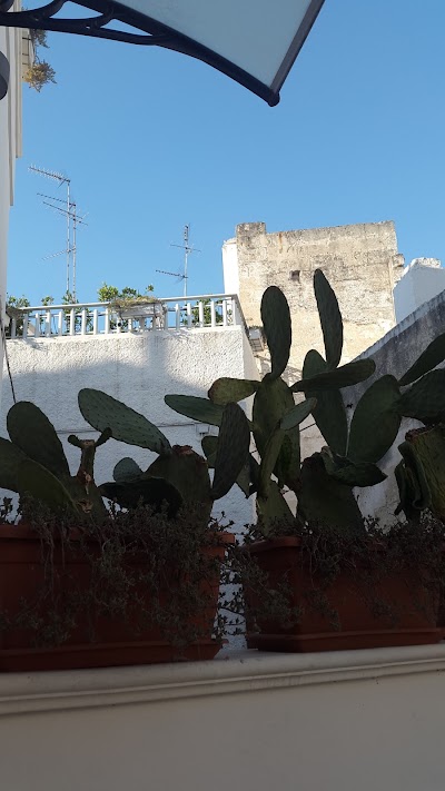 Photos of B & B Sotto La Volta
