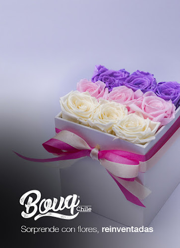 Opinii despre BOUQ - Floreria La Serena y Coquimbo în La Serena - Floristería