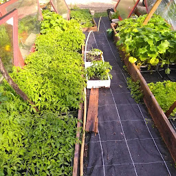 Photo n°10 de GAEC Ferme Biologique De Ravel à Marseille (Ferme bio)