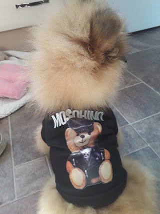 Doggie Styles Clothing
