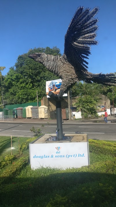 Photos of DSL Roundabout