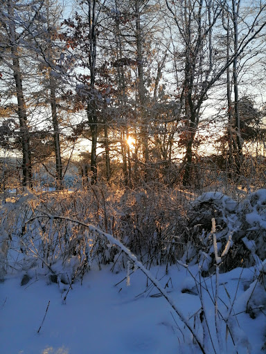 Schnebes - Visual