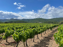 Domaine de l'Orchis Pourpre à Babeau-Bouldoux