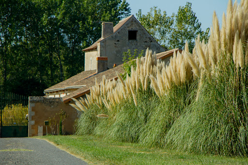 Photo de Domaine du Grand Felin - Gîtes &amp; Pêche Poitiers Futuroscope à Bonnes (86300)
