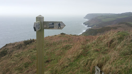 The Dingle - Thumbnail
