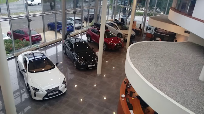 Nyitvatartás: Lexus Buda