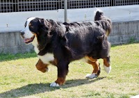 でっかいの と ちっちゃいの