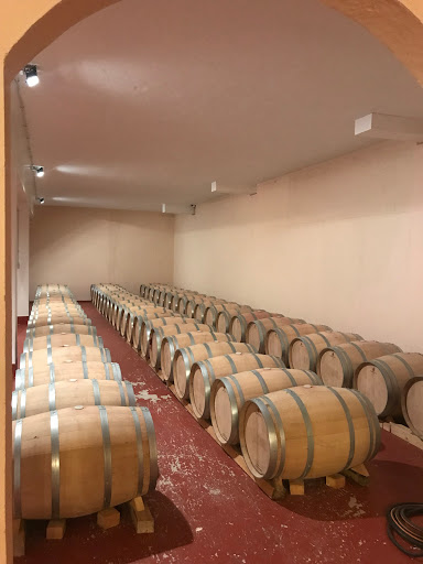 VITIVINÍCOLA ALANTERRA, S.L. | VIÑEDOS DE AGEJAS