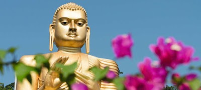 Photos of Lanka Nature Tours