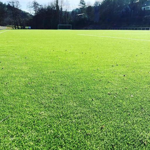 Dieter-Morszeck-Sportanlage, Sportplatz des TSV Schönau