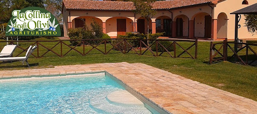 Agriturismo La Collina Degli Olivi - Tuscany Farmhouse Near Sea - Thumbnail