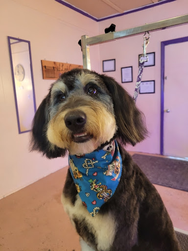 The Gaffney Groomer LLC - Thumbnail