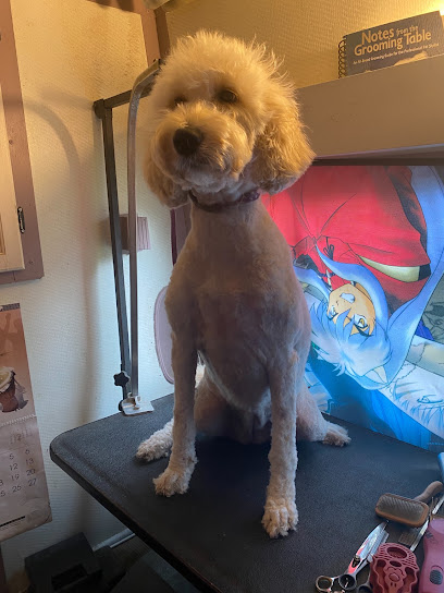 Gorgeous Grooming by Eun Young