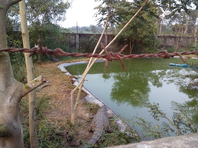 Reptiles Farm Ltd.
