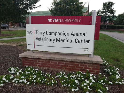 Terry Companion Animal Veterinarian Medical Clinic - Thumbnail