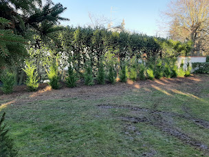 Photo n°16 de Elagueur Louis espace vert 78 à Sartrouville (Service d'élagage)