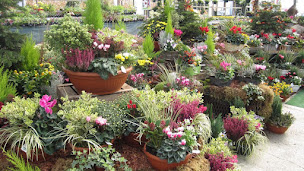 Photo n°41 de Proflora à Bergerac (Pépinière)