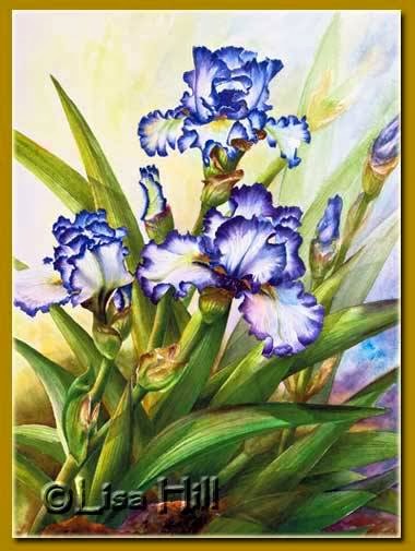 Lisa Hill Watercolorist