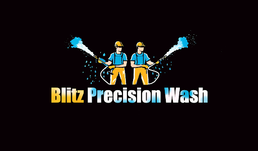 Blitz Precision Wash - Visual