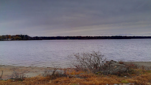 Axis at Lakeshore - Thumbnail