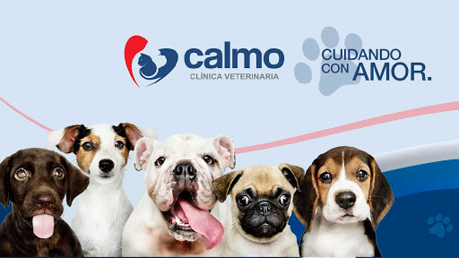 CLINICA VETERINARIA CALMO