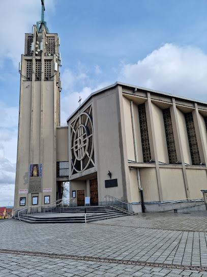 Kościół pw. MB Zwycięskiej w Borku Fałęckim
