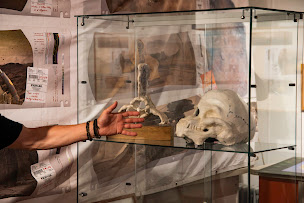 Photo n°7 de Librairie Interlude à Le Puy-en-Velay (Librairie de bandes dessinées)
