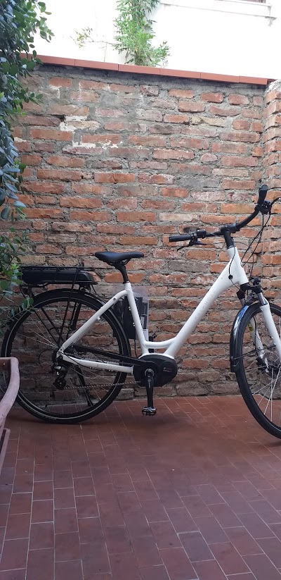 Motomarsport biciclette subacquea nautica La Rosa