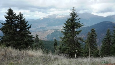 Photos of Chalet Maritina